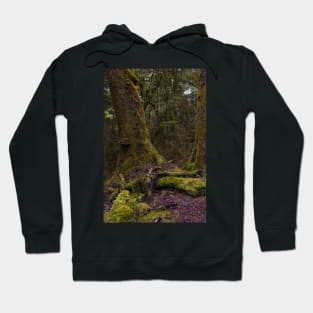 Fiordland 3 Hoodie